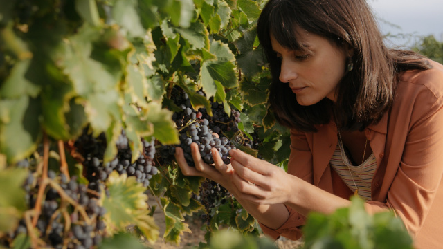 Ruta del vino de Lleida - DO Costers del Segre