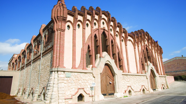 Ruta del vino DO Tarragona